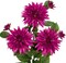 3Pcs Purple-Pink Artificial Dahlia Flowers 29.5" Fake Flower Silk Flowers with Long Stem Floral Arrangements Bouquets Faux Dahlias Flowers for DIY Wedding Party Centerpieces Office Home Decor